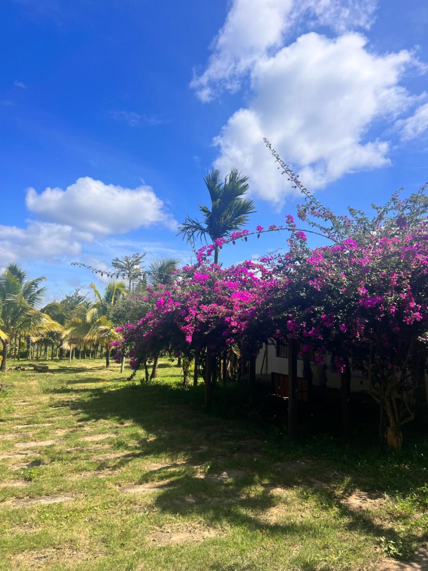 Komleo Farm Hotel บวนมาถวต ภายนอก รูปภาพ