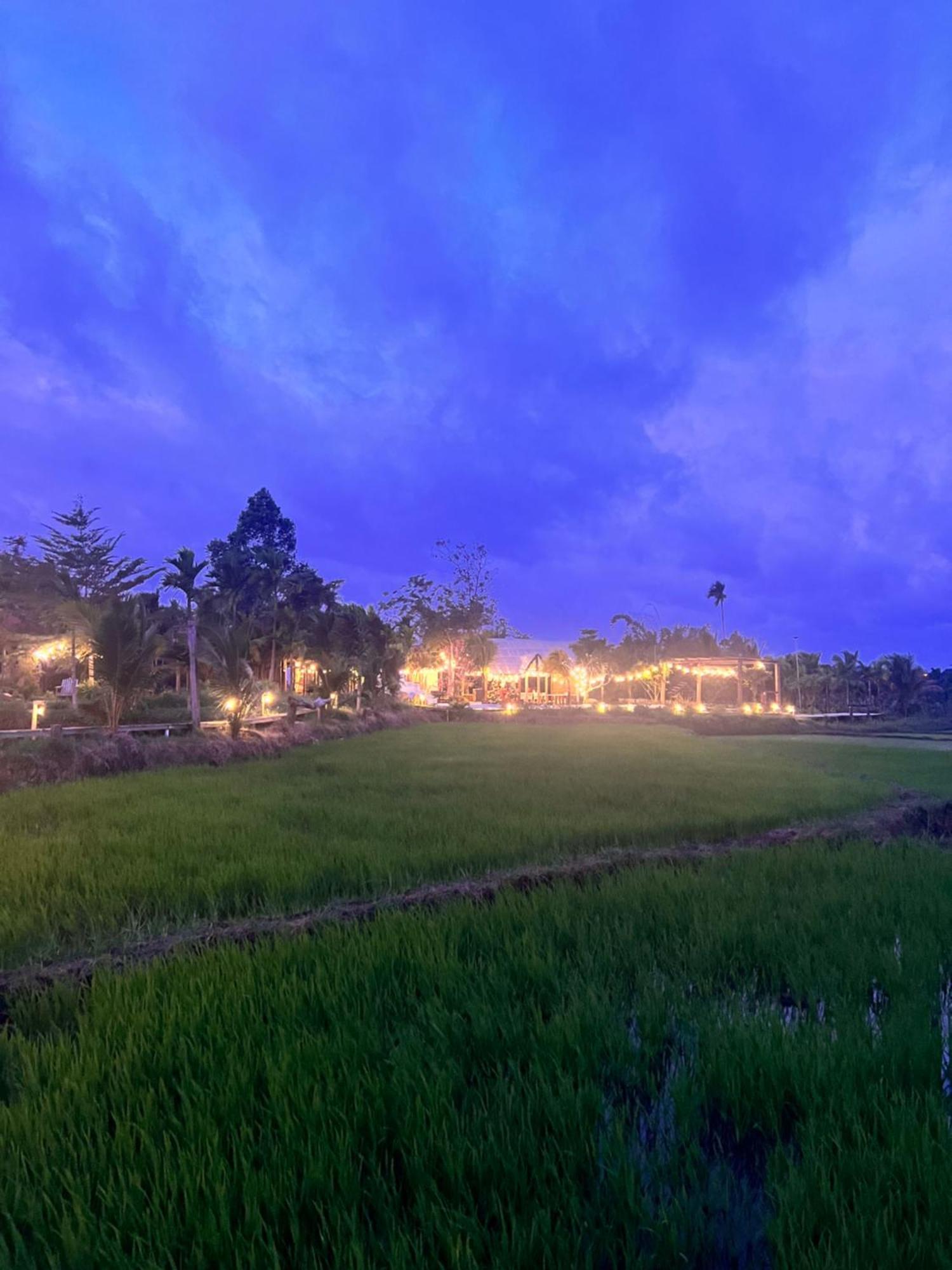 Komleo Farm Hotel บวนมาถวต ภายนอก รูปภาพ